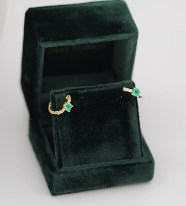 Symmetric Loop Earrings