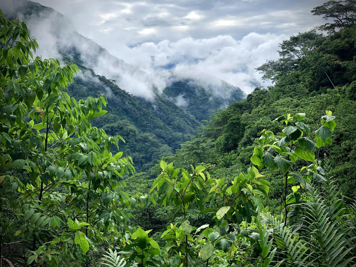 Colombia